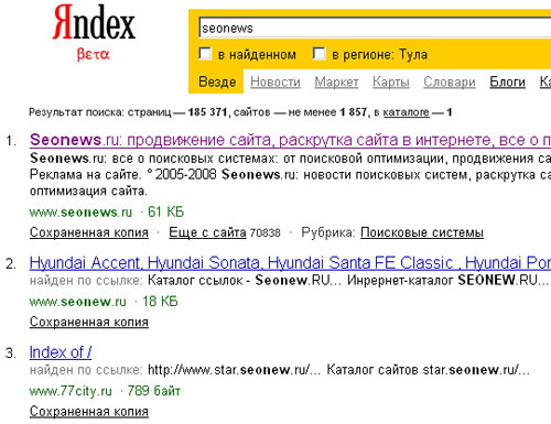 Пример выдачи в buki.yandex.ru по запросу «seonews».