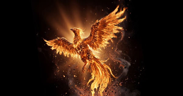 Когда алгоритмы начинают понимать: тренды SEO на 2026 год 