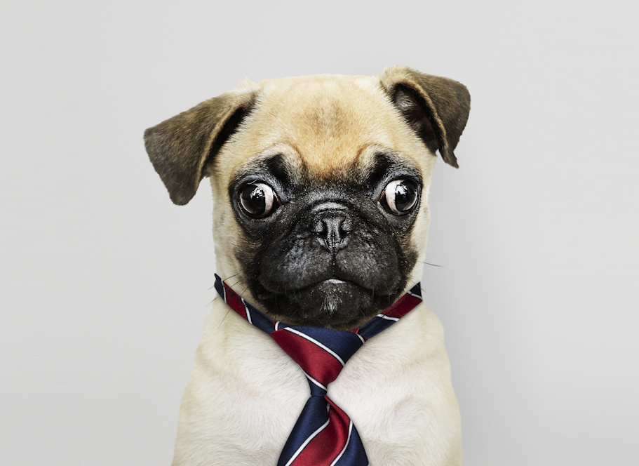 Мемы как новый бизнес-инструмент: как брендам зарабатывать на вирусном эффекте