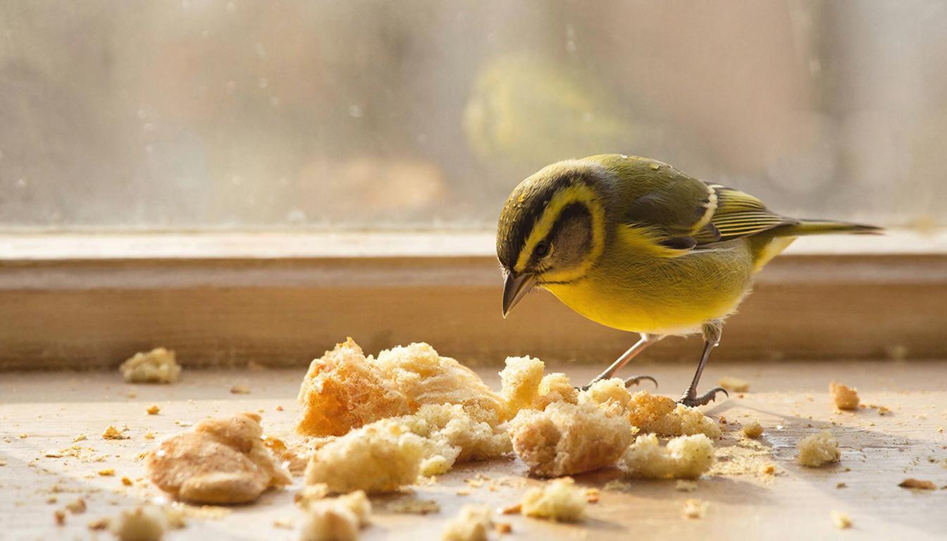 Что такое «хлебные крошки» и для чего они нужны