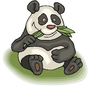 Как подружиться с Panda?