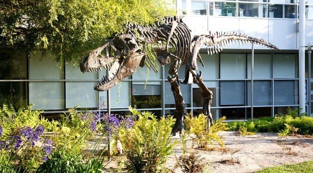 На территории Googleplex есть фигура тиранозавра по кличке Стэн