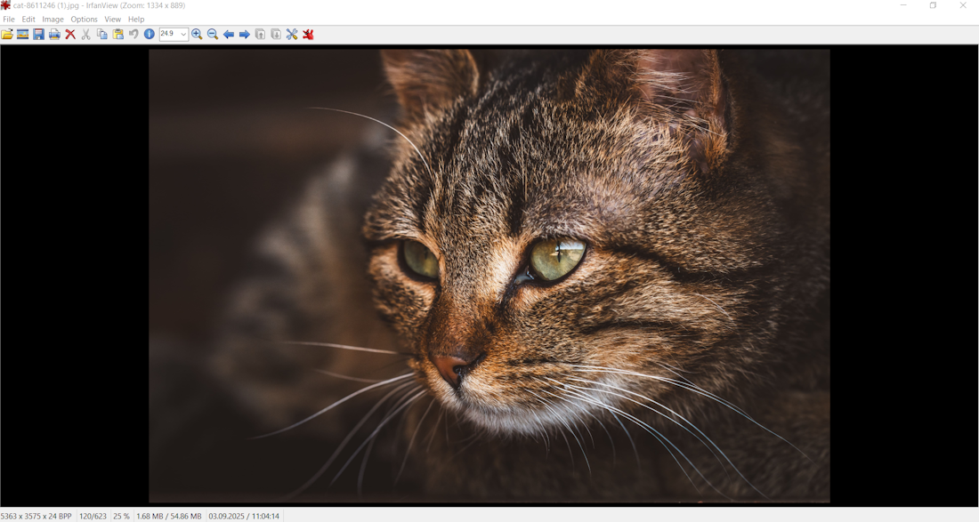 Как сжать изображение
