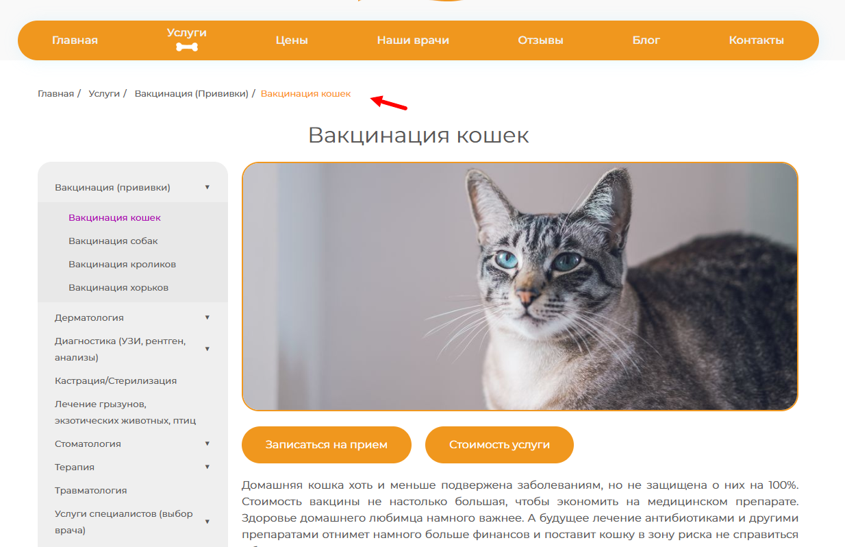 Техническое SEO Техническое SEO