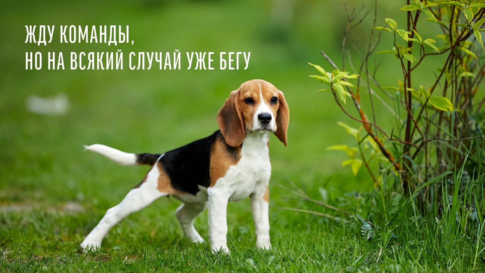 Кейс продвижения в вк Кейс продвижения в вк