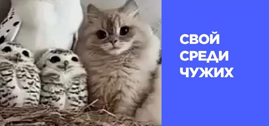 Закон о рекламе Закон о рекламе