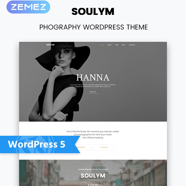 WordPress шаблон Soulym
