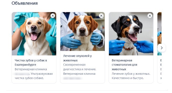 Кейс_Ветеринарная клиника Кейс_Ветеринарная клиника