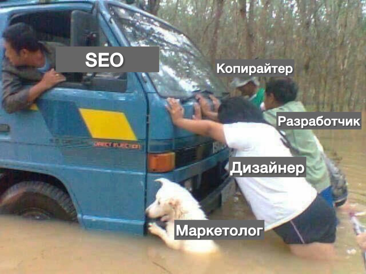 Мемы про SEO