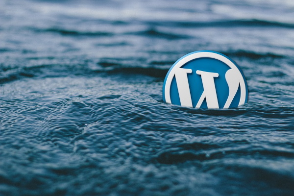 WordPress запретил ссылки из документации на коммерческие сайты