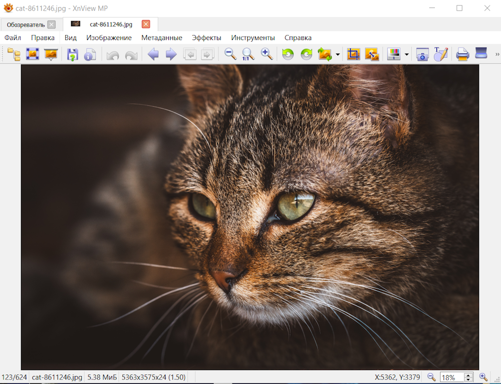 Как сжать изображение