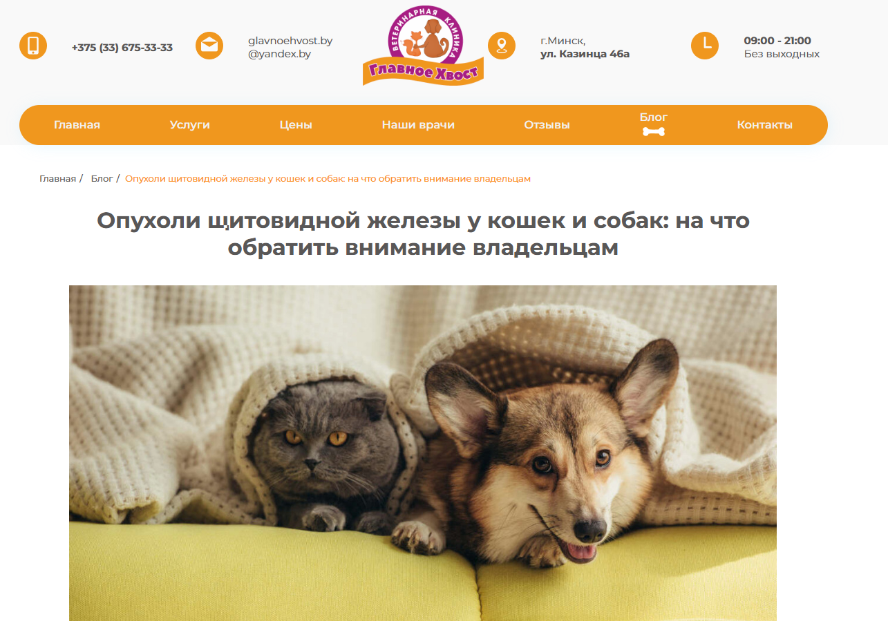 Контент-маркетинг