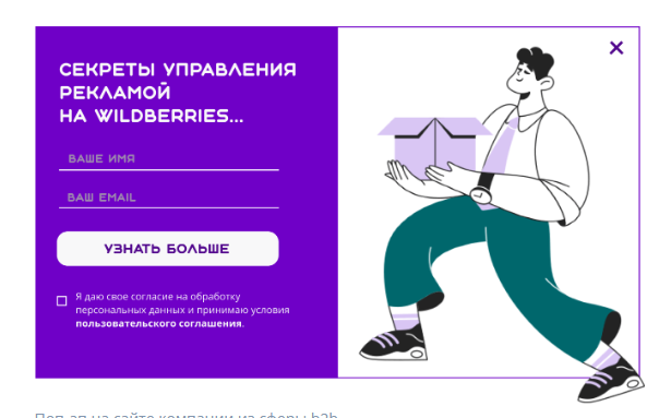 Окно для сбора контактов «Секреты управления рекламой» Окно для сбора контактов «Секреты управления рекламой»