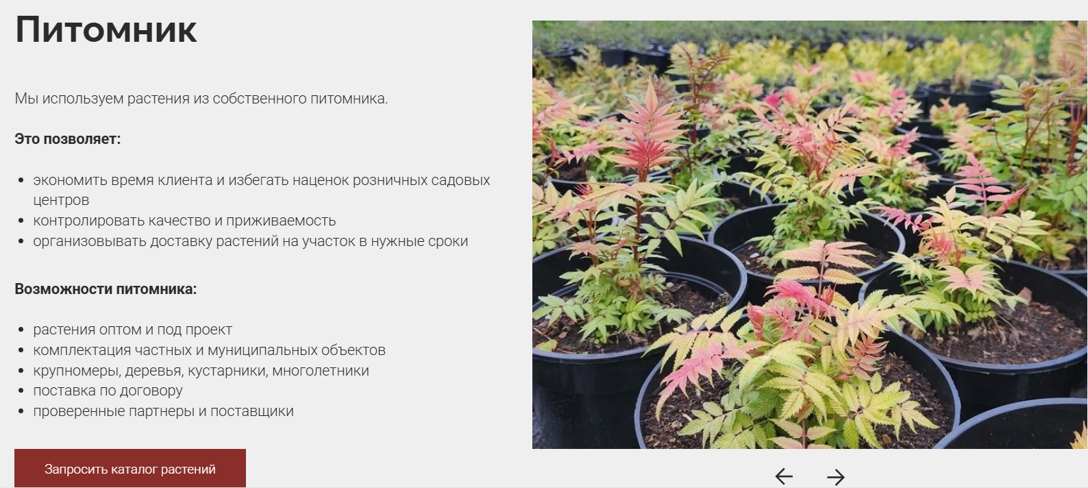 Ландшафтный дизайн