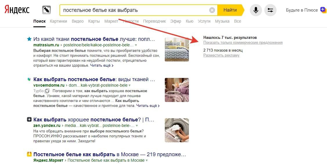 Скриншот выдачи Яндекса