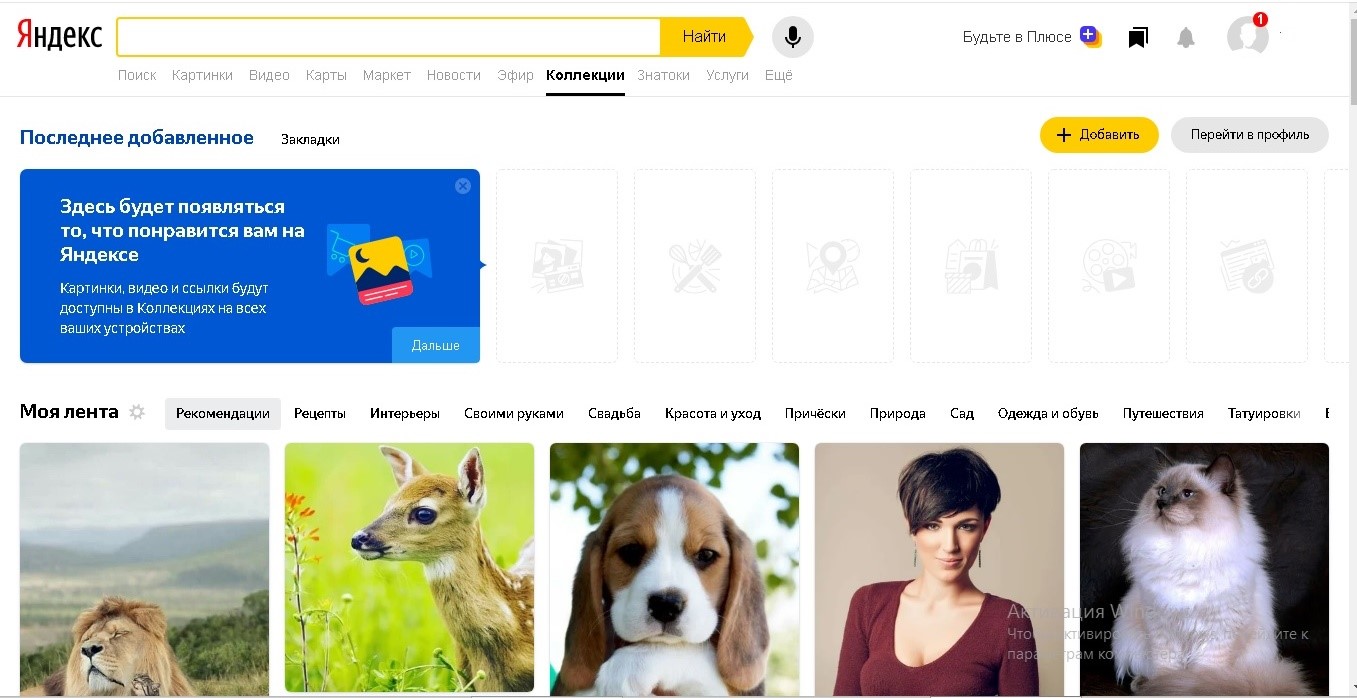 Яндекс Коллекция Картинки Фото