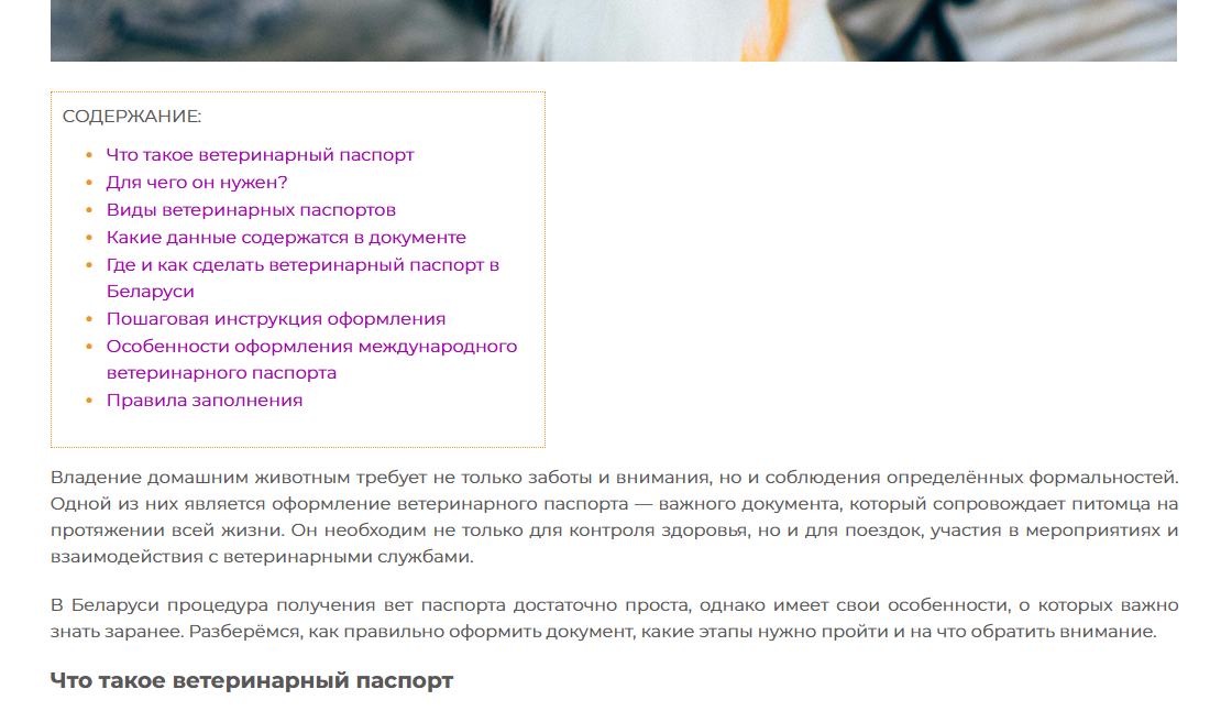 Контент Контент