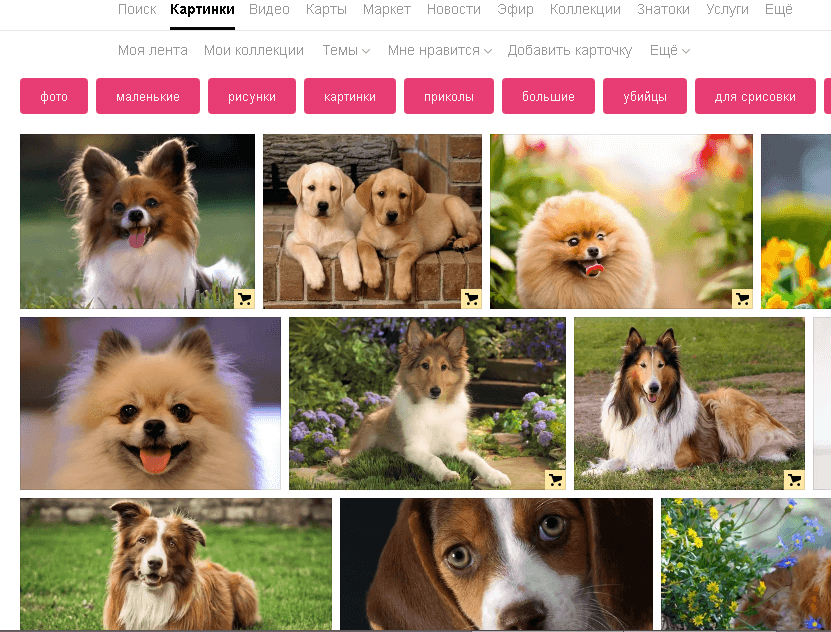 Главная страница Яндекса с результатами поиска изображения