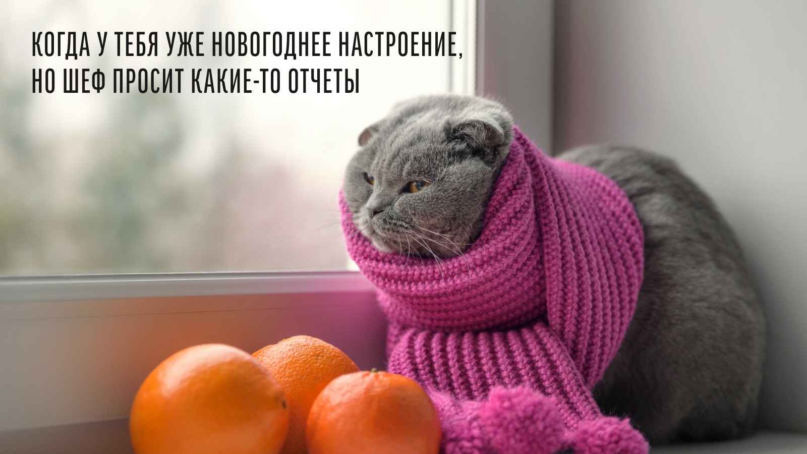 Кейс продвижения в вк Кейс продвижения в вк