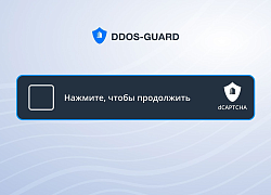 DDoS-Guard выпустила аналог капчи Google и Cloudflare на российском рынке