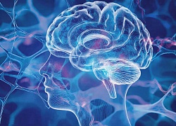 Google усилил модерацию рекламы: число блокировок достигло рекордных 8,3 млрд