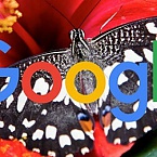 Google начал тестировать промо-блок в локальной панели Сети знаний
