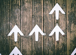 Рынок онлайн-рекламы в России в 2025 году вырос на 28%. Данные АРИР