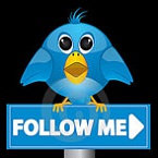 Twitter оттягивает момент IPO