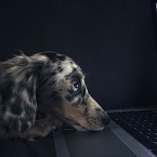 Microsoft добавил в Bing поисковик на искусственном интеллекте – Copilot Search