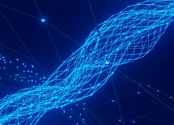 Количество онлайн-заказов увеличилось на 24%. Исследование Data Insight